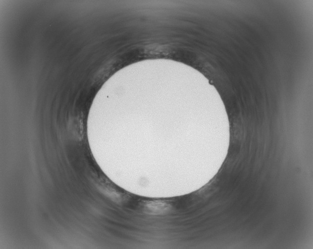 X0000080140183200701051523