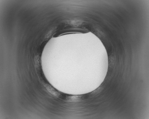 X0000080140184200701051523