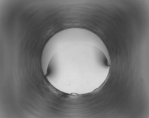 X0000080140190200701051523
