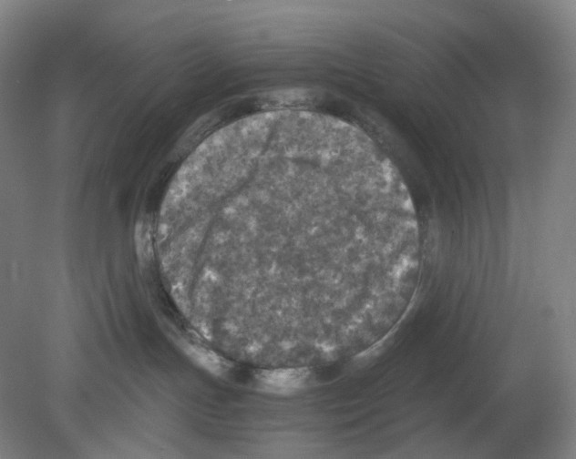 X0000080140191200701051523