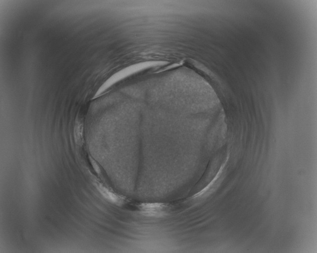 X0000080140192200701051523