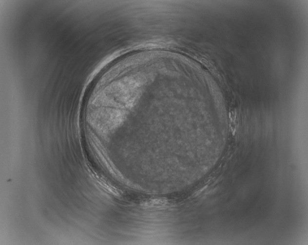 X0000080140196200701051522