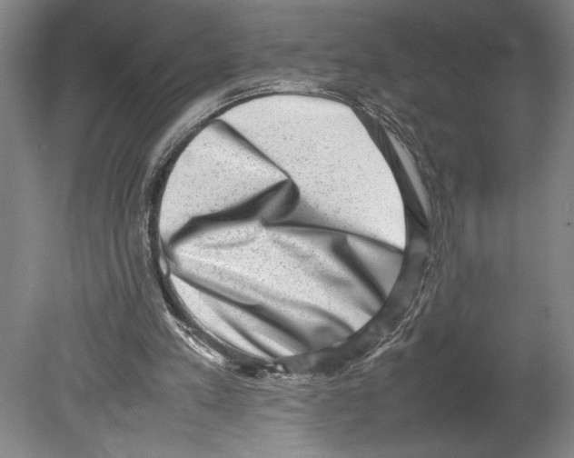 X0000080140197200701051522