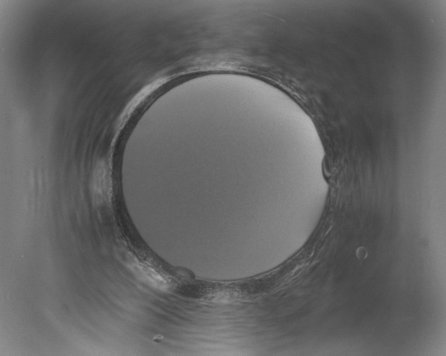 X0000080140200200701051522