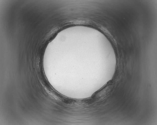 X0000080140201200701051522