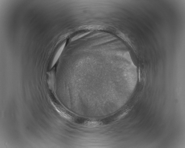 X0000080140205200701051522