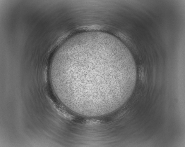 X0000080140206200701051522