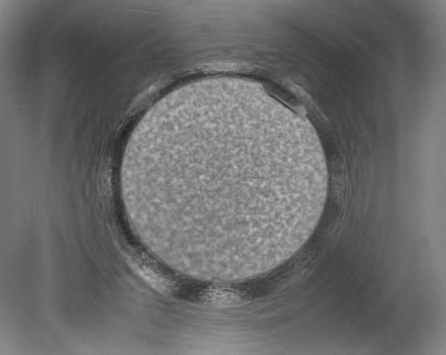 X0000080140207200701051522