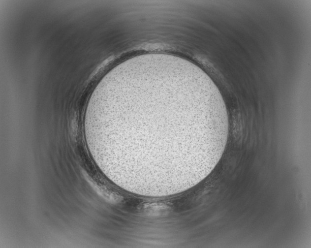 X0000080140208200701051522