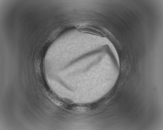 X0000080140209200701051522