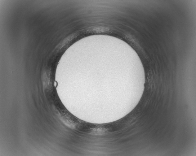 X0000080140212200701051522