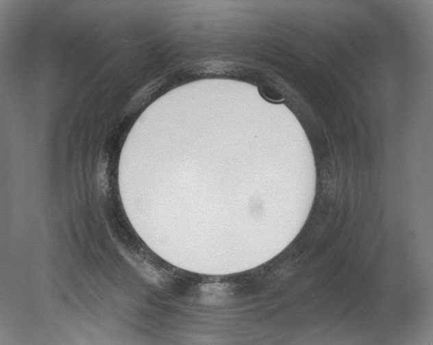 X0000080140216200701051522