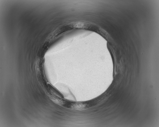 X0000080140217200701051522