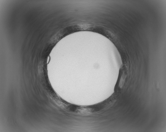 X0000080140221200701051522