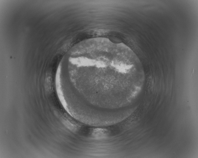 X0000080140222200701051522