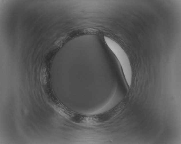 X0000080140223200701051522