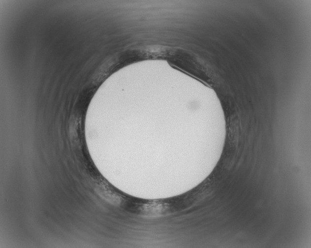 X0000080140225200701051522