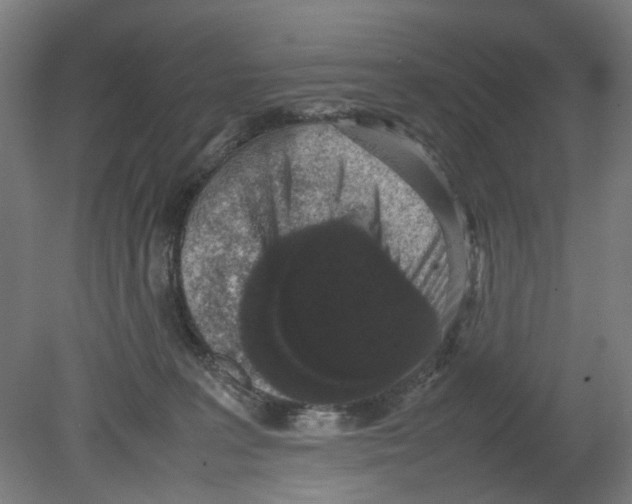 X0000080140227200701051522