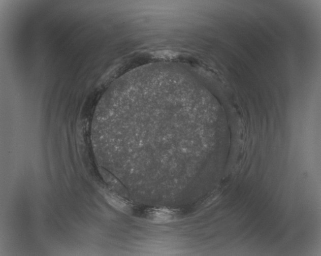X0000080140229200701051522