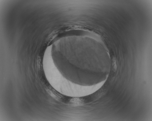 X0000080140231200701051521