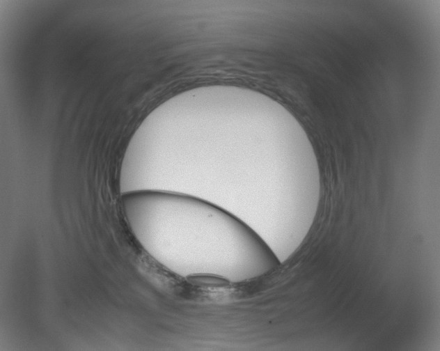 X0000080140233200701051521