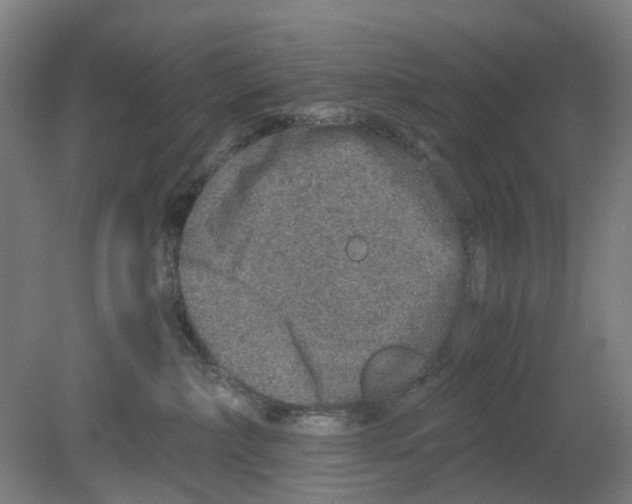 X0000080140236200701051521