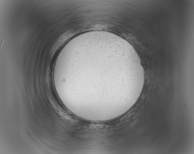 X0000080140242200701051520