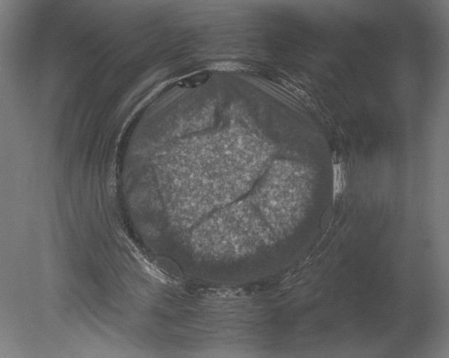 X0000080140243200701051520