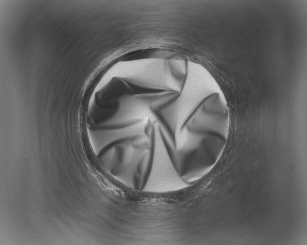 X0000080140244200701051521