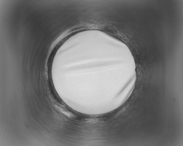 X0000080140246200701051521