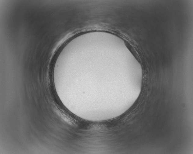 X0000080140248200701051521