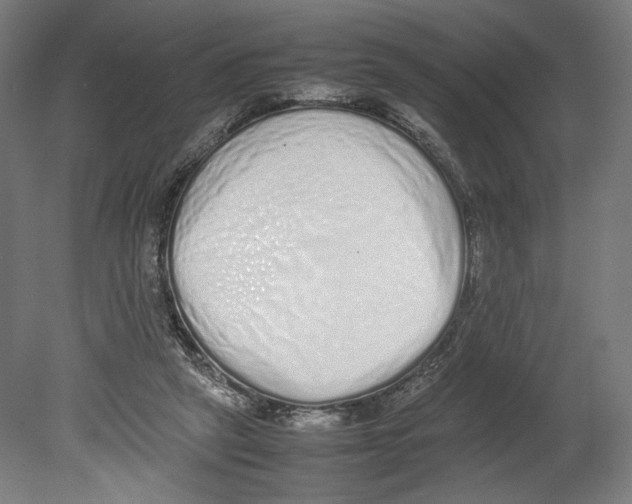 X0000080140257200701051521