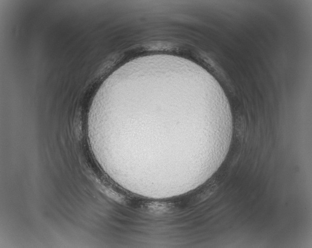 X0000080140261200701051521