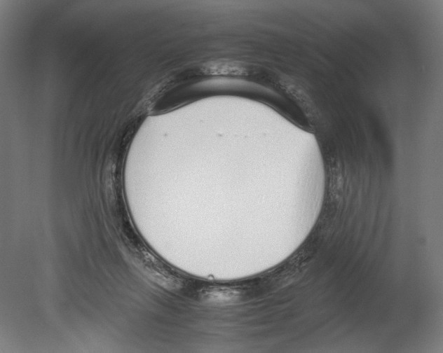 X0000080140263200701051521