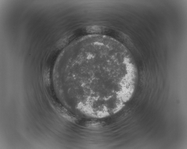 X0000080140267200701051521