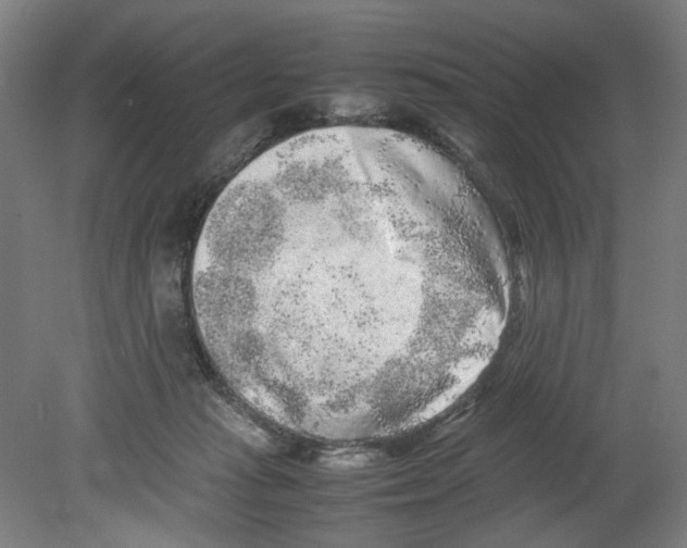 X0000080140269200701051521