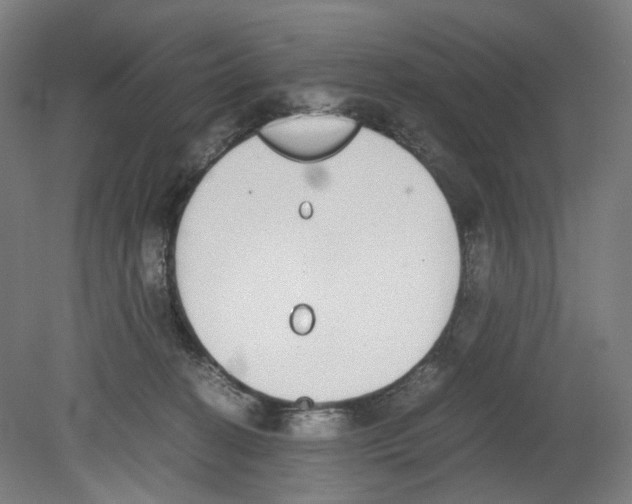 X0000080140274200701051521