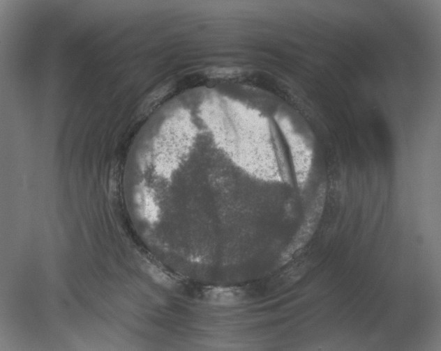 X0000080140277200701051521