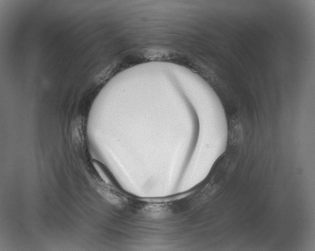 X0000080140280200701051521