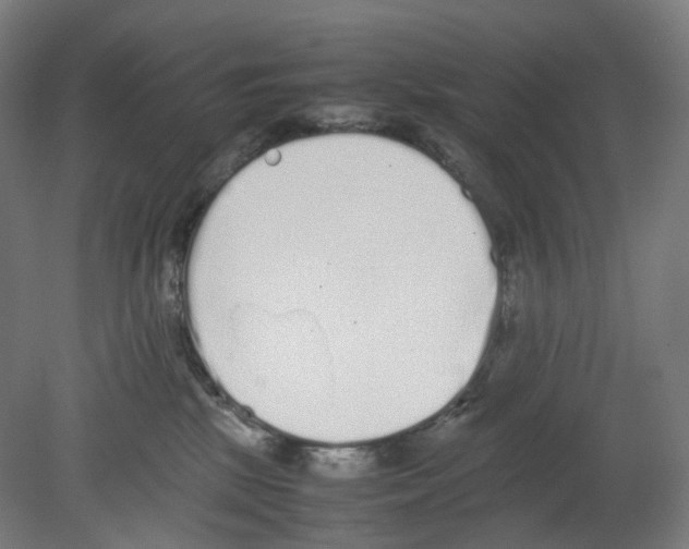 X0000080140281200701051521