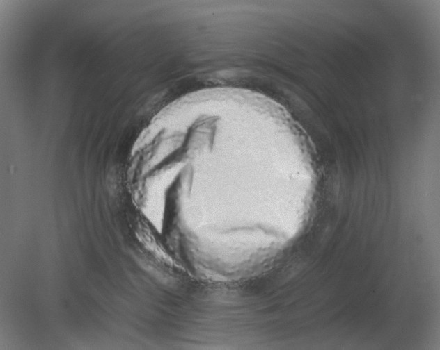 X0000080140284200701051521