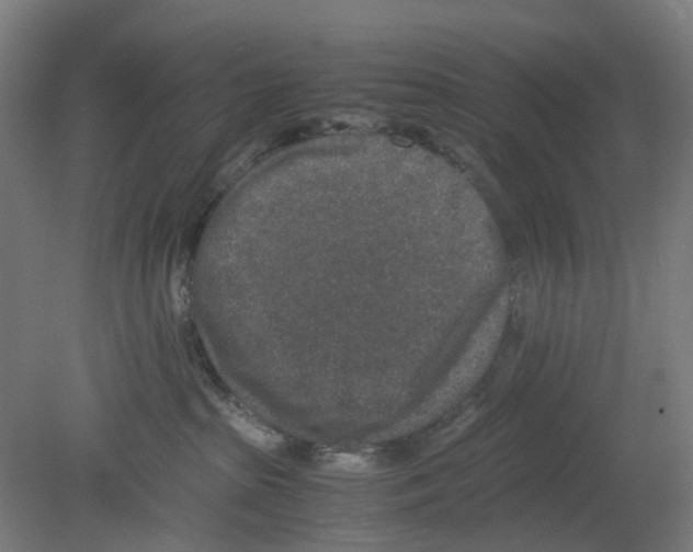 X0000080140285200701051521