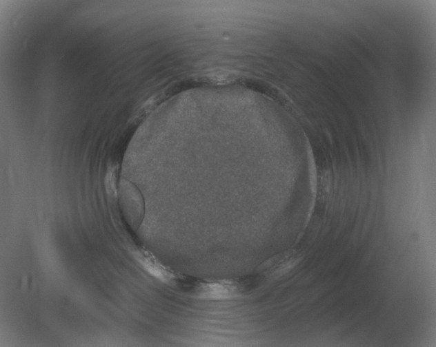 X0000080140286200701051521
