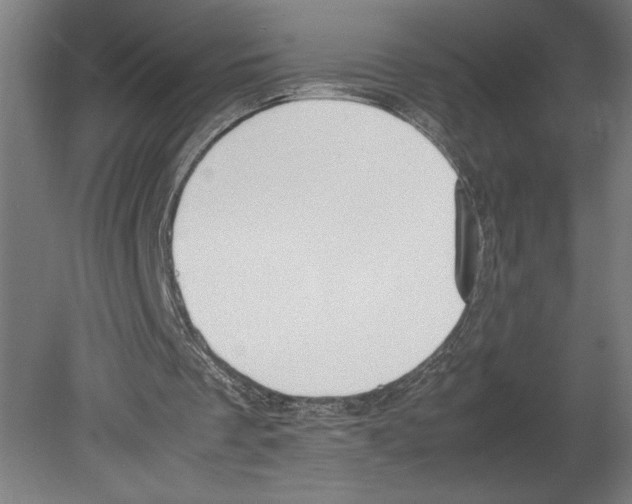 X0000080140289200701051520
