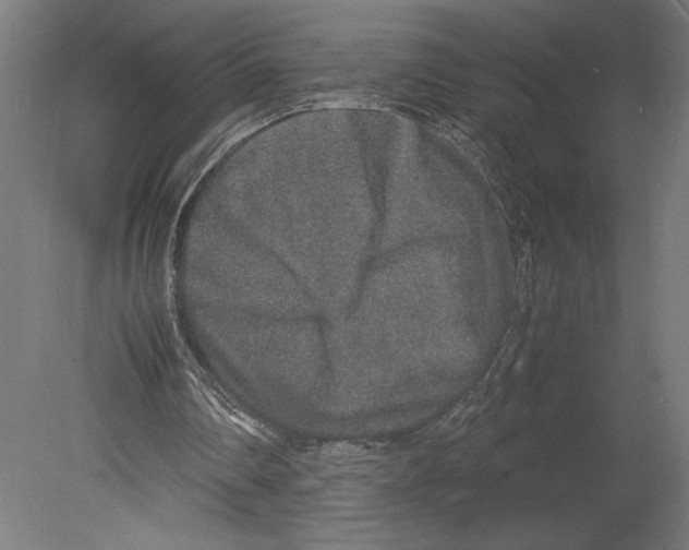 X0000080140290200701051520