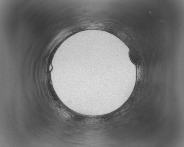 X0000080140291200701051520