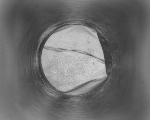 X0000080140294200701051520