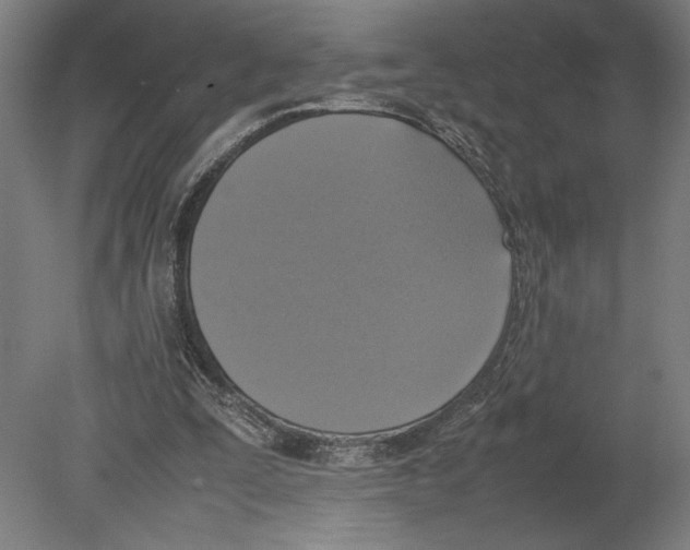 X0000080140295200701051520