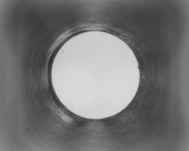X0000080140296200701051520