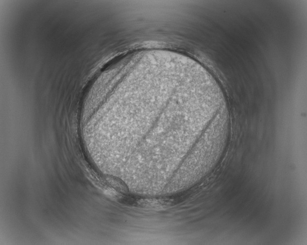 X0000080140297200701051520